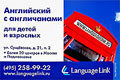 «LanguageLink».       !  20     .
