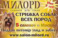     «».  9 ! 5   .    ,  .     . www.salon-milord.ru 