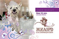     «».  9 ! 5   .    ,  .     . www.salon-milord.ru 