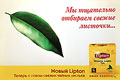     ӣ     !
  Lipton -      . Yellow Label Tea.  DRINK POSITIVE -  .              .
